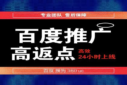 SEM广告投放的技巧与策略——成功案例分享